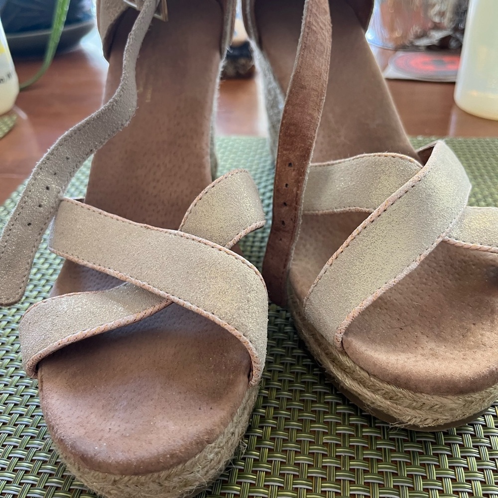 Tom’s size 9.5 wedge